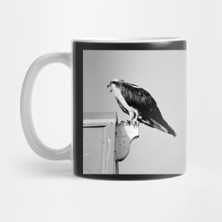 Squawking Osprey Mug